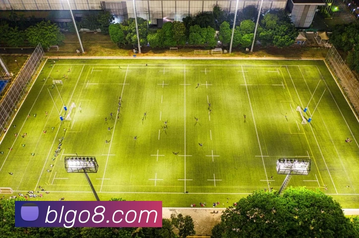 泊乐娱乐城官网发展历程